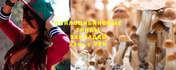 стафф Саяногорск