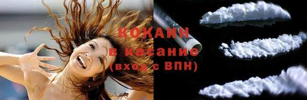 крисы Абаза