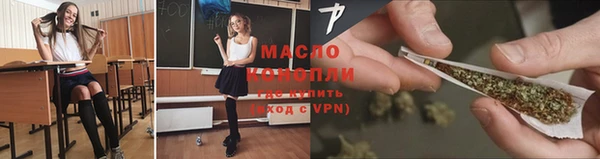 крисы Абаза
