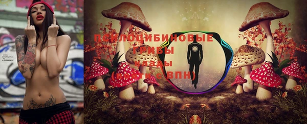 стафф Саяногорск