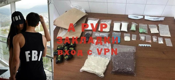крисы Абаза