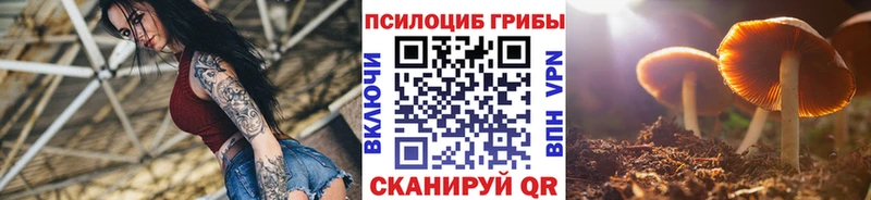 Галлюциногенные грибы GOLDEN TEACHER  Абинск 