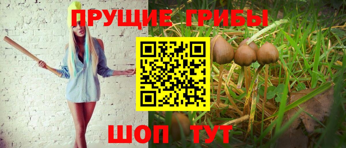 Галлюциногенные грибы мухоморы Абинск