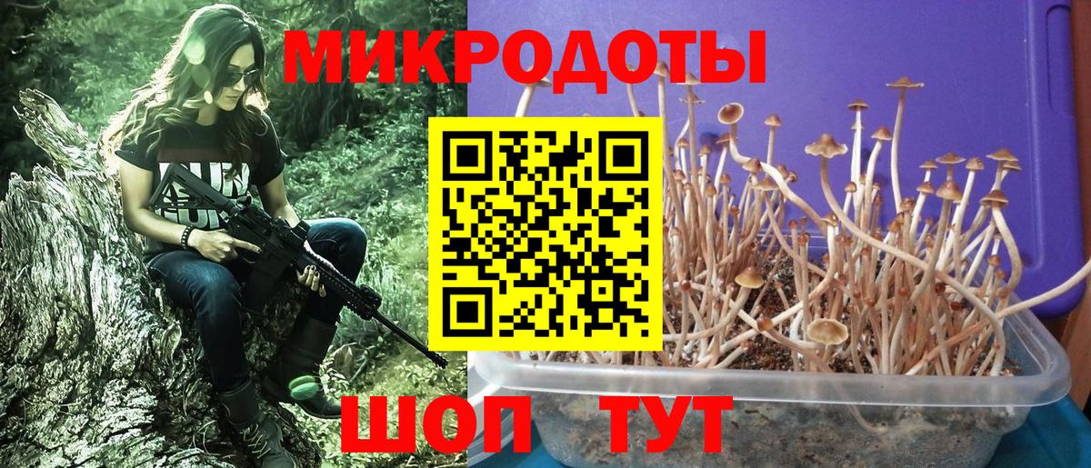 Псилоцибиновые грибы GOLDEN TEACHER  Псилоцибиновые грибы прущие грибы  Вход с VPN  Абинск 